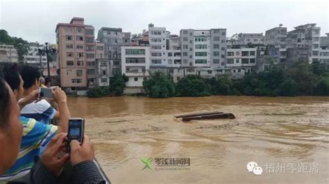 直击汶川泥石流现场 大桥被洪水冲断车辆被淹_新闻中心_中国网