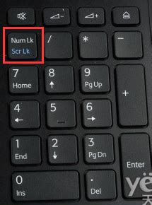 键盘上的数字键盘打不出来数字是怎么办_360新知