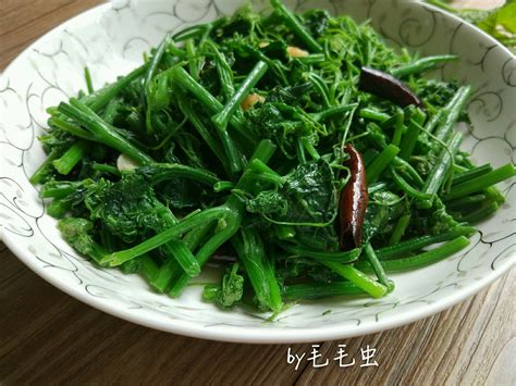 四川人碗里有了豌豆颠儿、儿菜、红油菜，冬天才算冬天_凤凰网