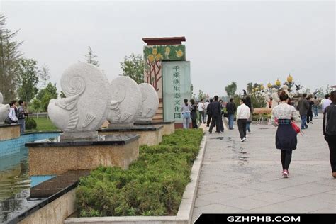 东营海滩景点,东营景点,山东东营旅游景点_大山谷图库