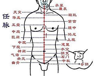 任脉的准确位置图图片 任脉的准确位置图图片