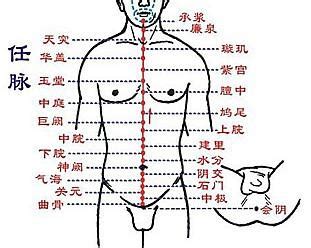 人体真有经络线路？新实验清晰显示出人体经络穴位，古人咋发现的|太阳_新浪新闻