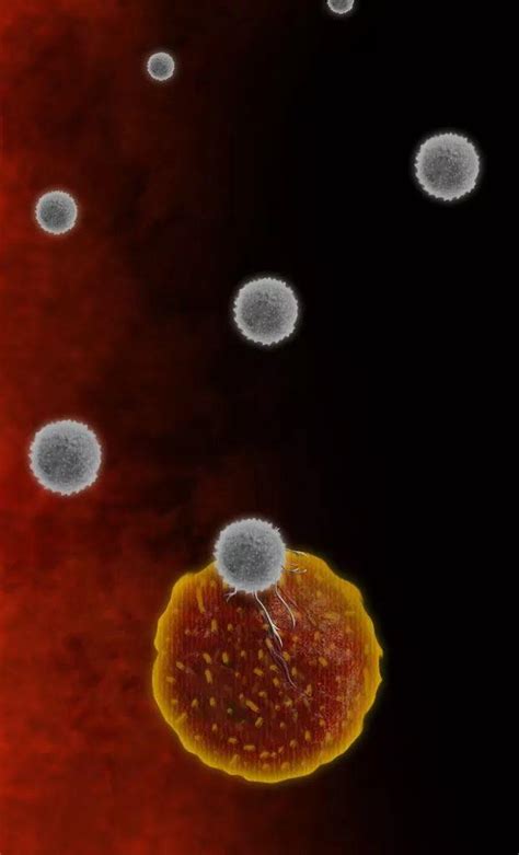 抗击病毒的医生插画图片下载-正版图片401682999-摄图网