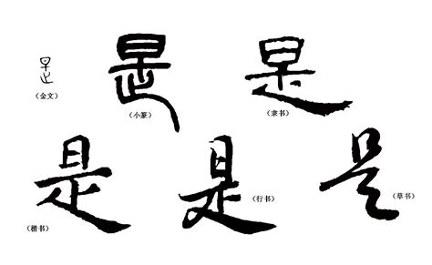 我们的汉字是怎么来的？具体是一个怎样的演变过程？