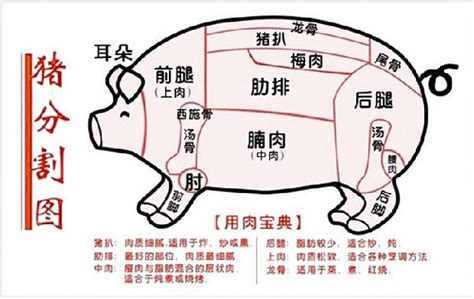 猪肉分割图设计图__包装设计_广告设计_设计图库_昵图网nipic.com