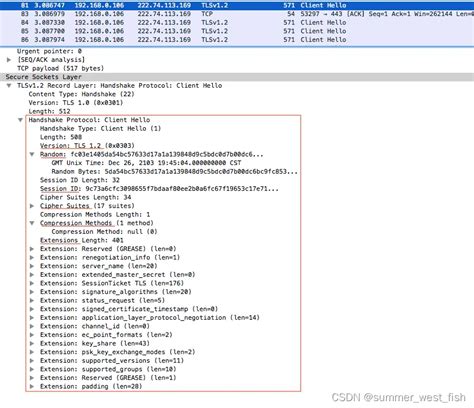 开发一个自定义“套壳“浏览器的开源方案--TlC_Browser_浏览器套壳-CSDN博客