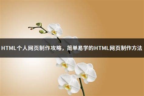 HTML个人网页制作攻略，简单易学的HTML网页制作方法丨新奇点