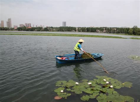 雨后天晴，我们守护塔子湖的美-武汉绿色江城