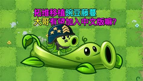 PVZ资讯：锐评拓维刚移植的豌豆藤蔓！希望下次让大哥也加入中文版！