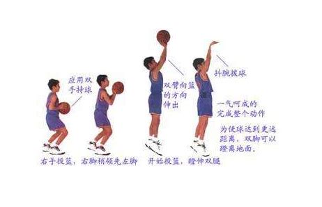 打篮球基本动作学习介绍_360新知