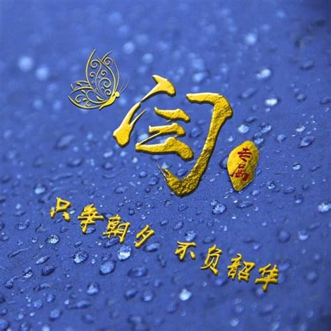 姓氏头像闫非主流
