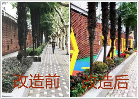 阜新路上多了个好玩的口袋花园，四平路街道携手同济师生一起把社区变有趣 - 周到上海