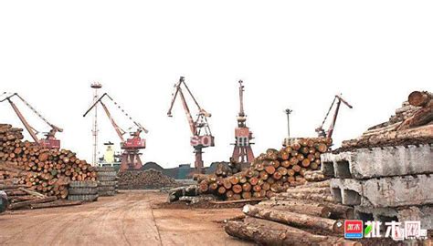 湘西州林业局积极推进木材采伐和经营加工市场专项整治工作【批木网】 - 木业行业 - 批木网