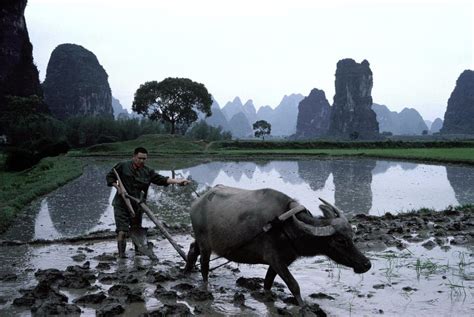 30年前的“桂林”，这些罕见的老照片，你见过几张？！|桂林|老照片|竹排_新浪新闻