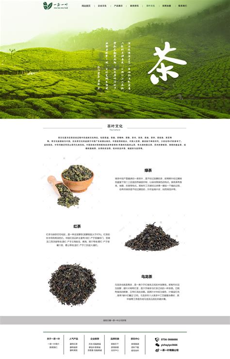 茶叶种植网站模板 |网页|企业官网|野嫱薇丶 - 原创作品 - 站酷 (ZCOOL)