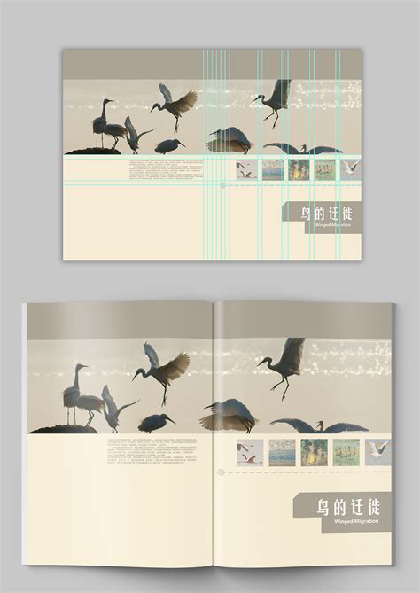 苏州画册设计|杂志广告设计的特点和独特的优势-品牌设计-画册设计-极地视觉