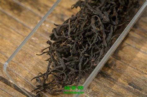 老枞水仙属于什么茶-润元昌普洱茶网