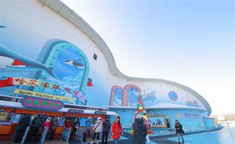 【郑州人专用】开封东京极地海洋馆门票只需75元，一票两人！_海底隧道