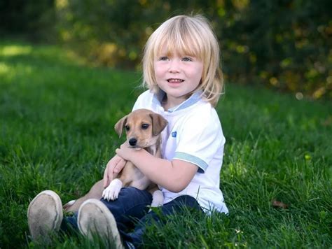 10种最适合家有小孩养的狗 有小孩可以养的宠物_宠物百科 - 养宠客