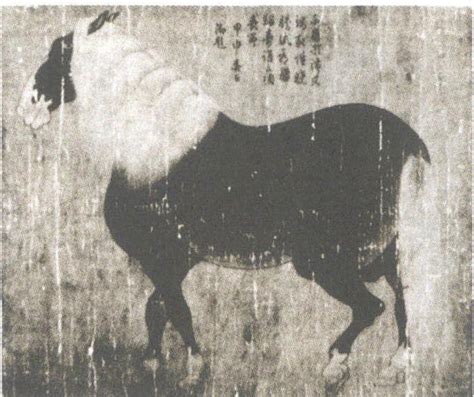 性图图片