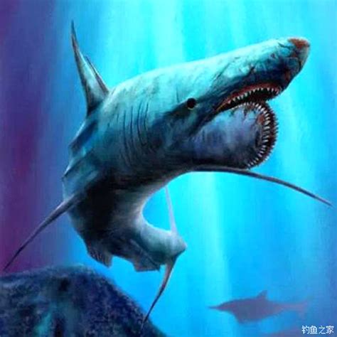 海洋中最凶猛的生物，海洋十大凶猛动物都在这里|鲨鱼|猎物|海洋_新浪新闻