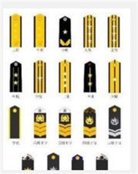 海军识别标志的秘密 当兵多年老海军都不一定清楚|海军|帽徽|肩章_新浪新闻