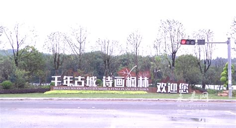枫林镇积极有序推进楠溪江核心景区精品线打造