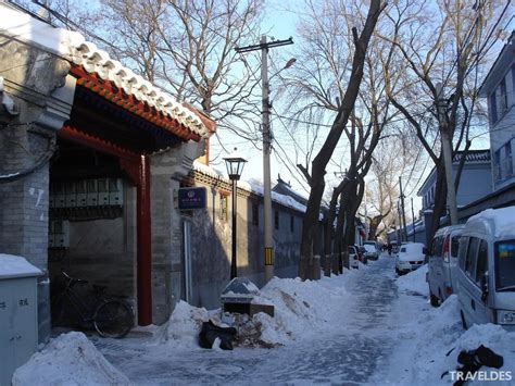 中国冬季气温季节内变率特征及环流分析