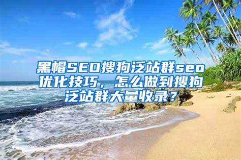 黑帽SEO搜狗泛站群seo优化技巧，怎么做到搜狗泛站群大量收录？_行业资讯_SEO技术资讯_SEO优化排名