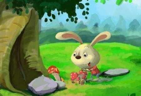 小兔采蘑菇课件图片,小白兔采蘑菇看图写话,小白兔采蘑菇_大山谷图库