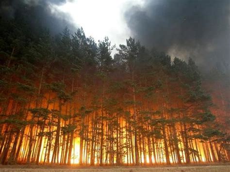 俄罗斯发生森林大火已有3人死亡现场图曝光 火灾原因是什么_国际新闻_海峡网