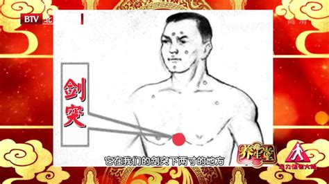 贲门的位置图图片