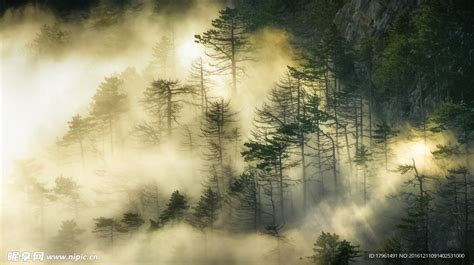 迷雾森林山林片图片-包图网