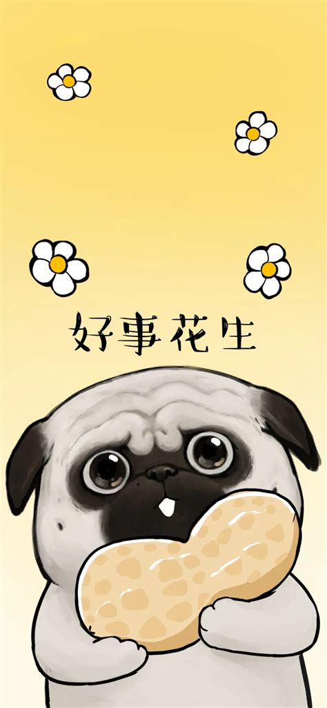雪狗巴扎黑图片