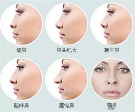 女人面相图解大全图片
