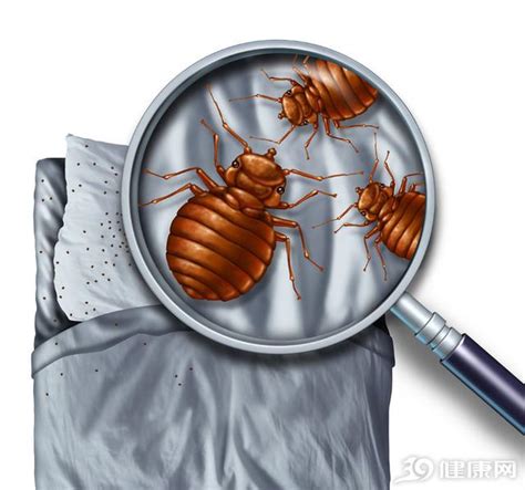 防虫帖：你家里有这样的黑色小虫吗？一旦被咬，皮肤就会红肿瘙痒|臭虫|红肿|床板_新浪新闻