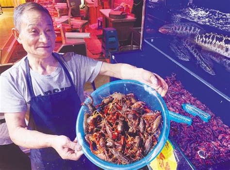 烹饪,亚洲厨房,销售食品煮红小龙虾街头市场高清图片下载-正版图片300619125-摄图网