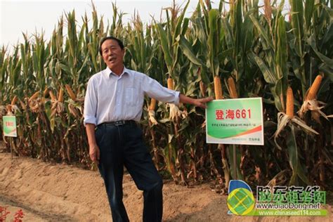 中国农业大学校友网 校友企业 莱州市金海种业有限公司