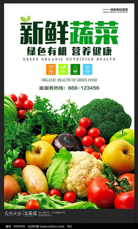 新鲜有机食品蔬菜蔬果海报设计_红动网