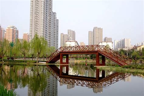菏泽赵王河 - 杭州园林景观设计有限公司