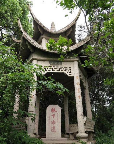 素有“大上海后花园”之称的佘山国家级森林公园