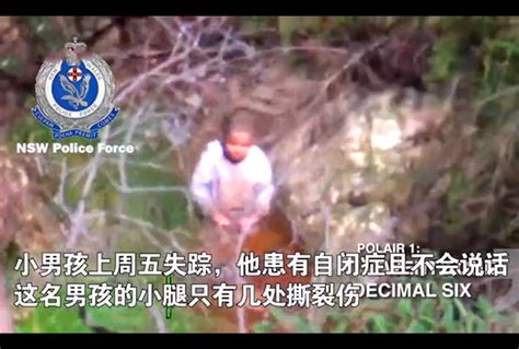 9岁失语男童失踪10天后，在悬崖上被寻回-大河新闻