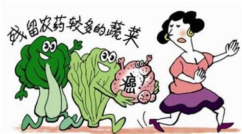 如何应对蔬菜中的农药残留过多？-上海飞测生物科技有限公司