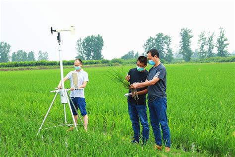 湖北省气象局-枣阳：联合农业部门开展农田小气候对比观测