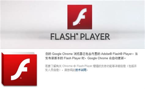 Adobe Flash Player 11 开放下载-站长资讯中心