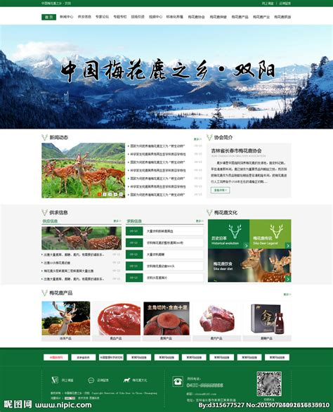 鹿网站 梅花鹿 鹿产品网设计图__中文模板_ web界面设计_设计图库_昵图网nipic.com