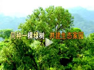 绿色行动公益海报设计图片_海报_编号4032557_红动中国