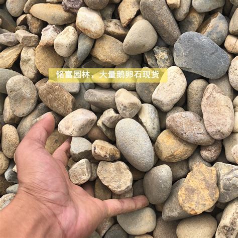 广东天然鹅卵石，潮州鹅卵石厂家，广东鹅卵石供应商 - 创景奇石 - 九正建材网