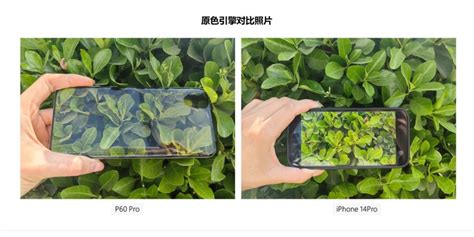 iPhone 12 Pro和华为P40 Pro拍照对比：差距比较大