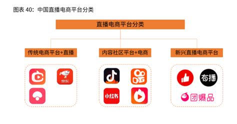 2020年中国直播电商平台结构、特点及痛点分析__财经头条